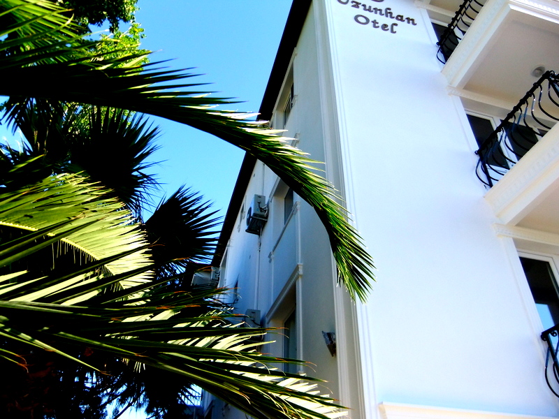 Otel palmiyeli cephe