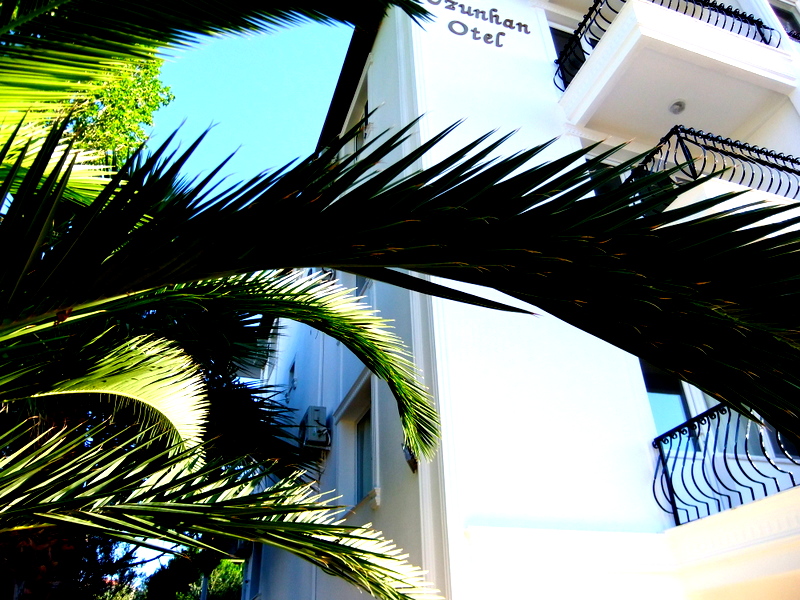 Otel palmiye yakın